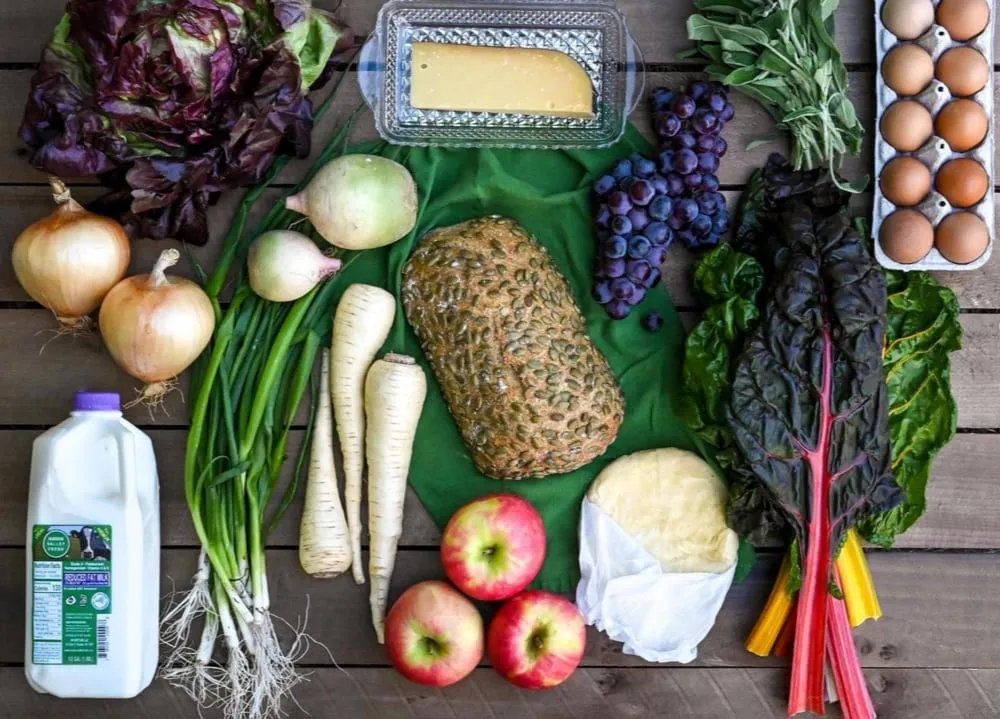 Sustainable supplies: Illuminate Food + EasyRoutes