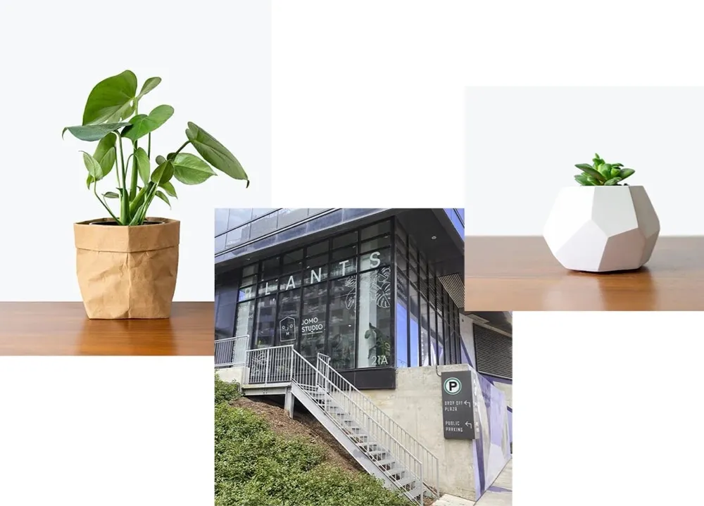 Growing together: JOMO Studio + EasyRoutes