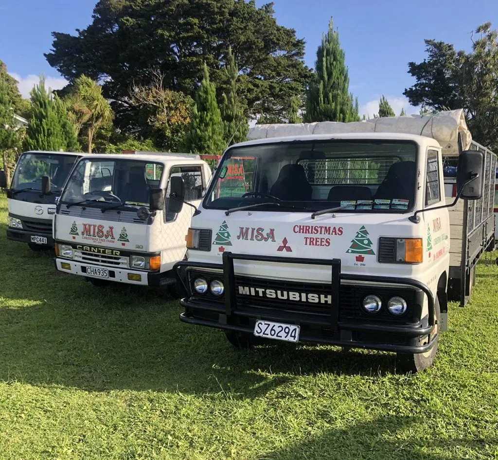 Misa Christmas Tree Delivery