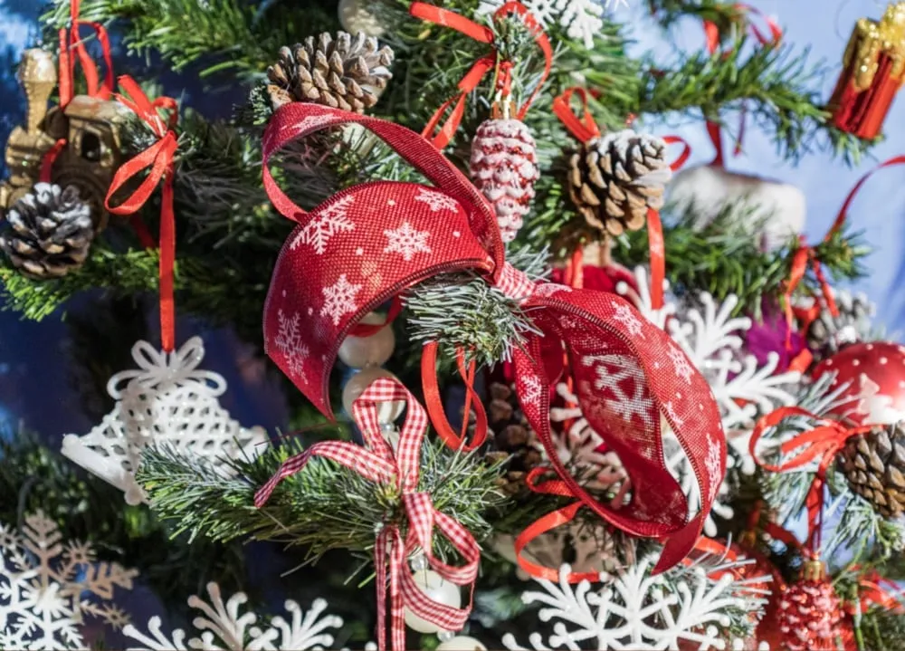 Holiday joy, delivered: Misa Christmas Trees + EasyRoutes