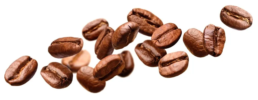 Third Day Coffee Roasters Delivery