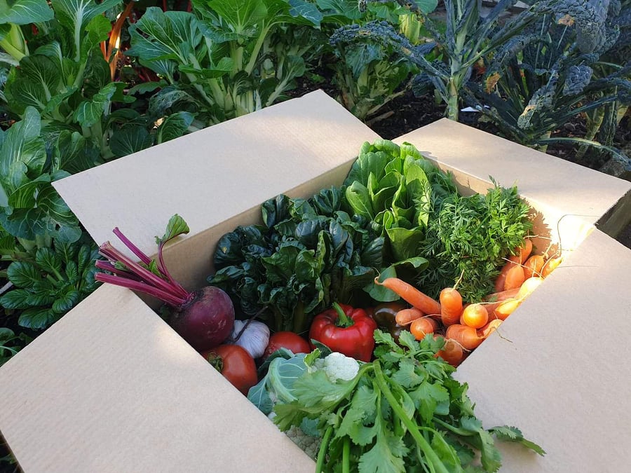 Wonky Box Fruit and Vegetable Delivery