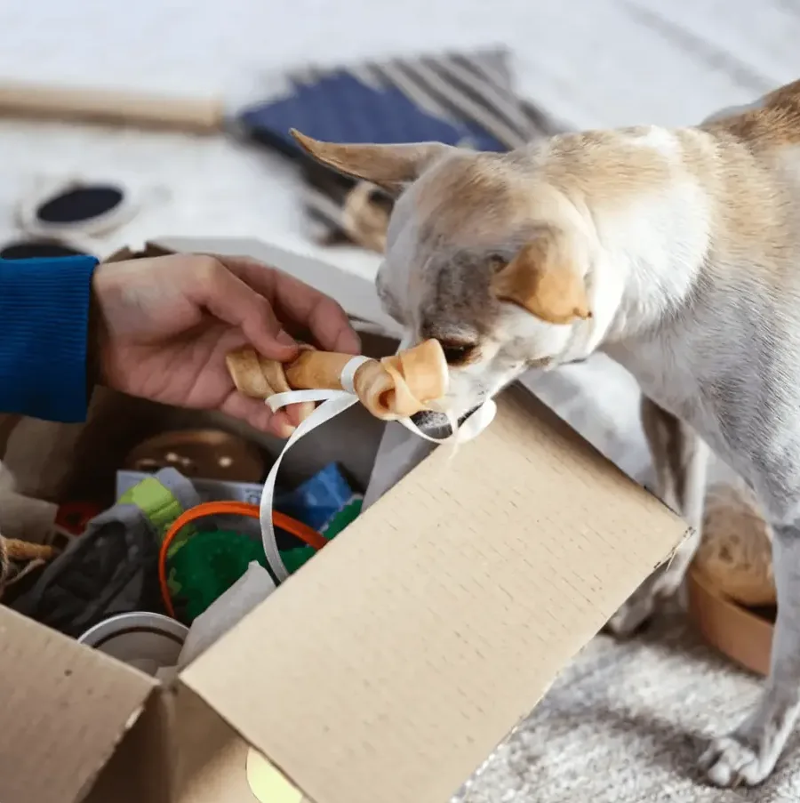 Pet Supplies
